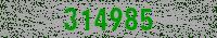 raytron Anti-bot code